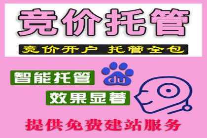 成功案例集锦：SEM竞价培训在不同行业的运用与效果